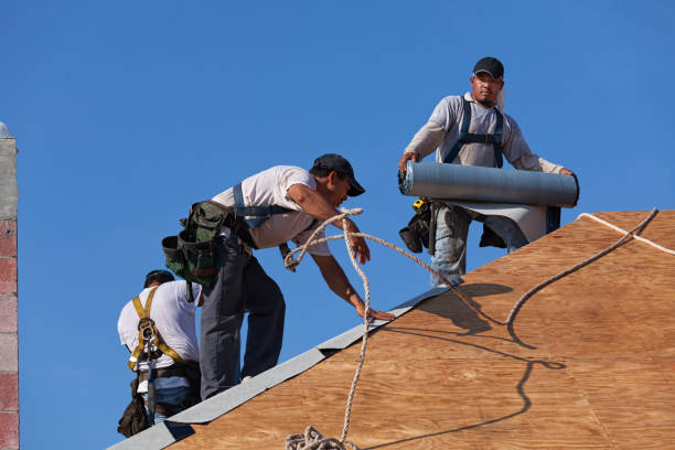 Best Sealant for Roof  in Lincoln, IL