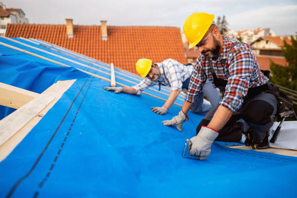 Best Roof Waterproofing Services  in Lincoln, IL