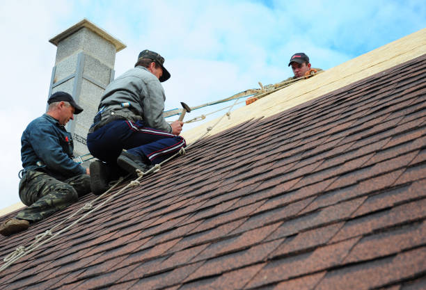 Best New Roof Installation  in Lincoln, IL