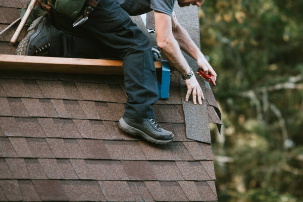 Professional Roofing Contractor in Lincoln, IL